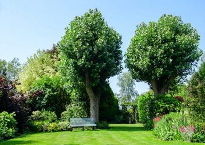 Churchfield House gardens